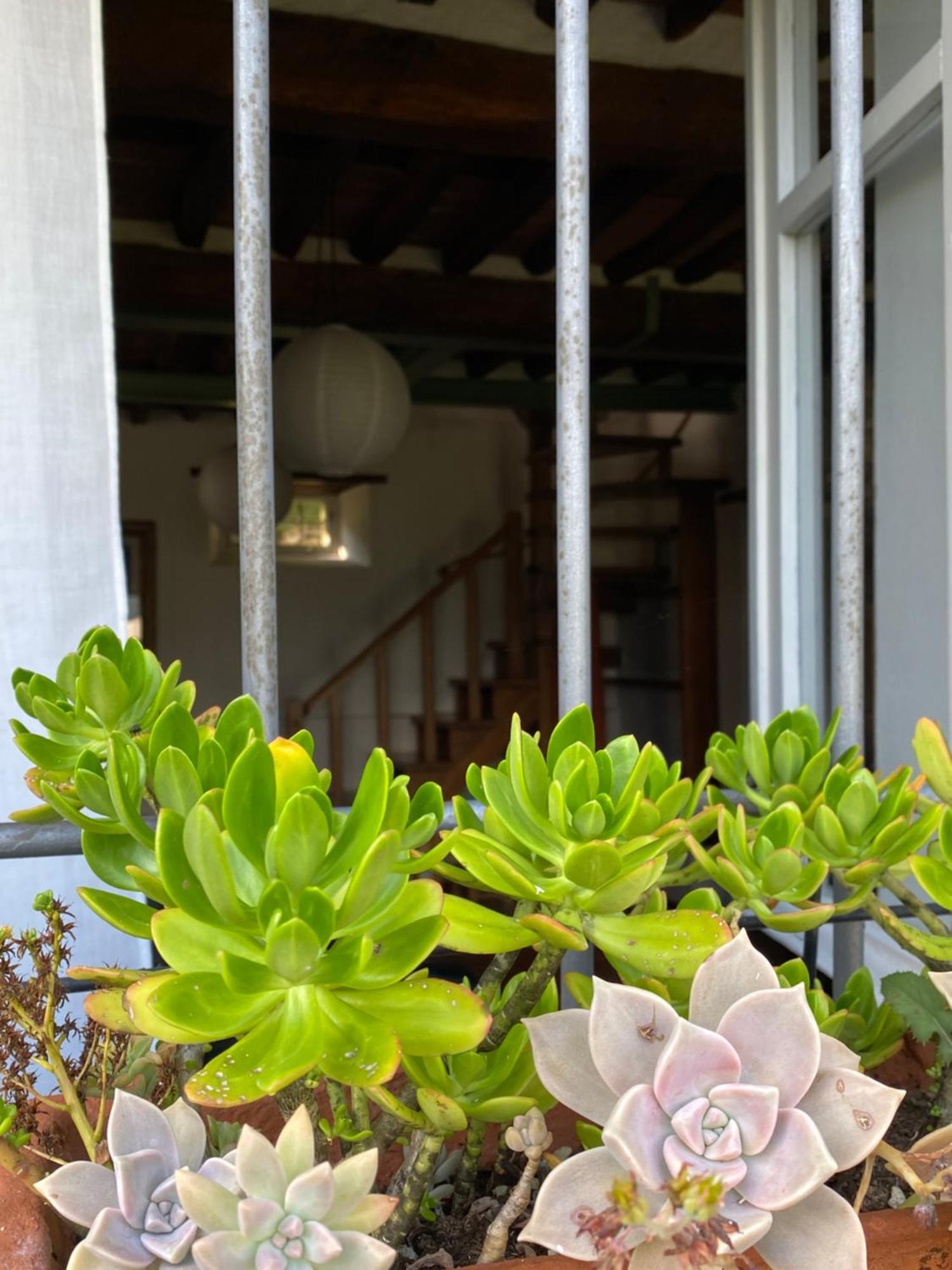 La Casa In Valli 35 巴尼－迪卢卡 外观 照片
